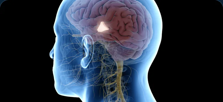 Condições Neuroendócrinas